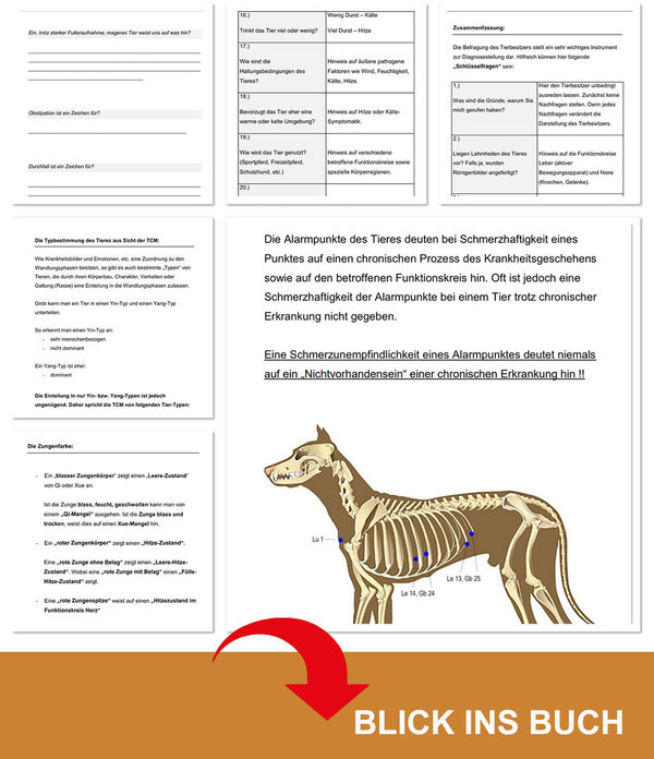Akupunktur TCM Veterinär - PRAXIS HUND / Lern- und Arbeitsbuch - Diagnose / Untersuchungsgang