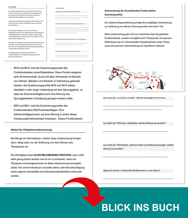 Akupunktur TCM Veterinär - PRAXIS PFERD / Lern- und Arbeitsbuch - Diagnose / Untersuchungsgang