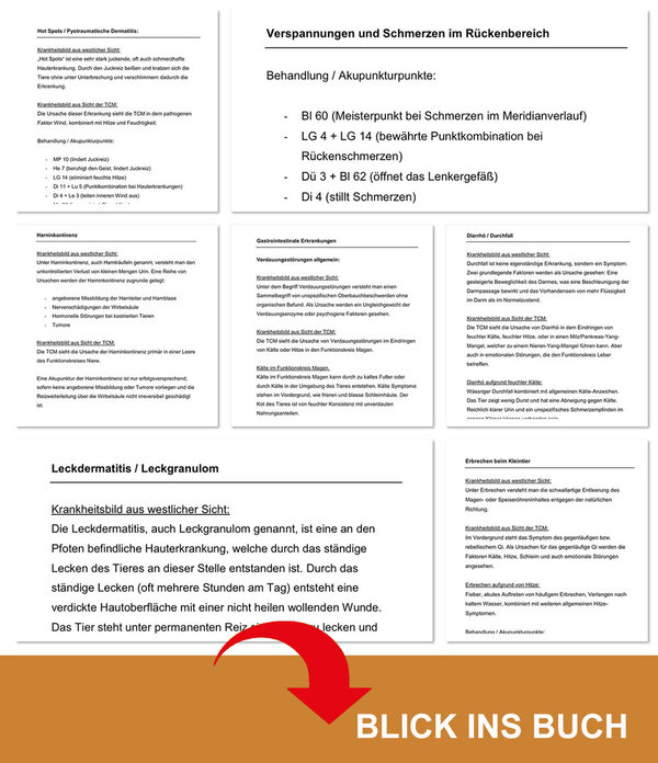 Akupunktur TCM Veterinär - PRAXIS HUND / Lern- u. Arbeitsbuch - Krankheitsbilder / Syndrome