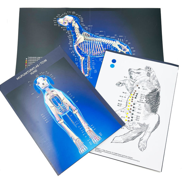 3D - Akupunkturkarte / HUND - print + digital