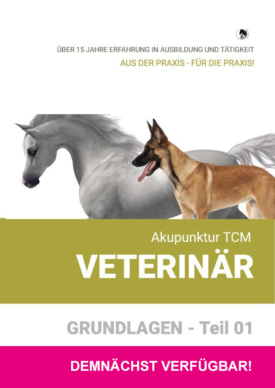 Akupunktur TCM Veterinär - GRUNDLAGEN Teil 01 / Praxisvideo