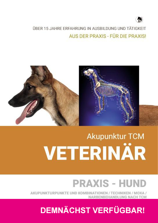Akupunktur TCM Veterinär - PRAXIS HUND / Praxisvideo - Konzepte / Kombinationen / Techniken
