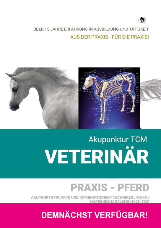 Akupunktur TCM Veterinär - PRAXIS PFERD/ Praxisvideo - Konzepte / Kombinationen / Techniken